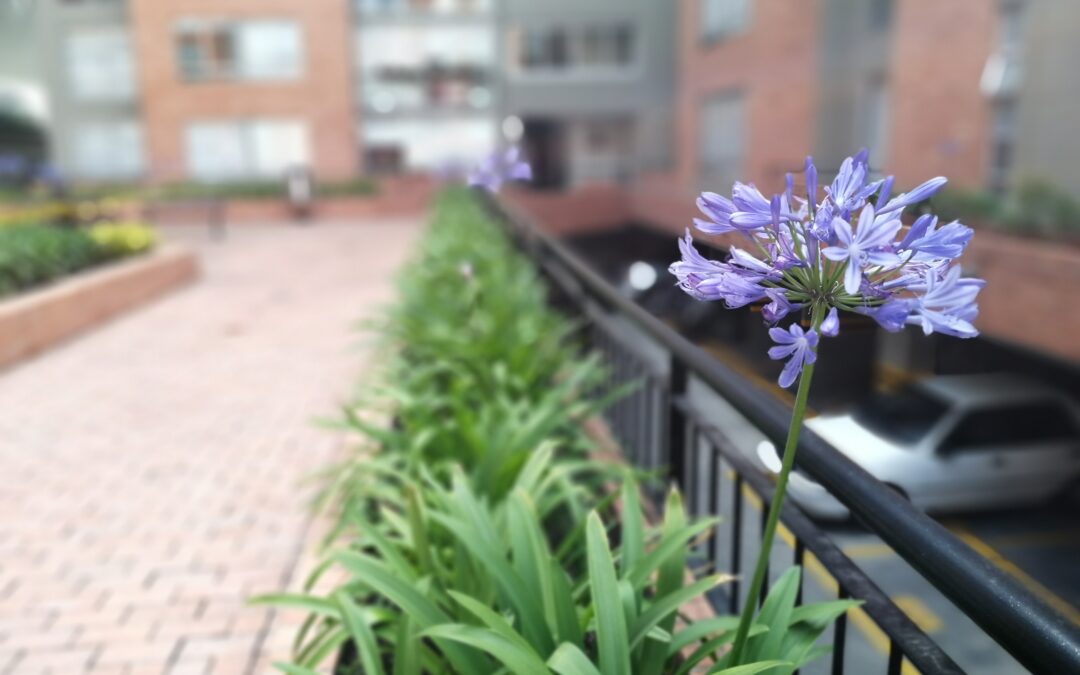 Publicación acta asamblea extraordinaria 2025