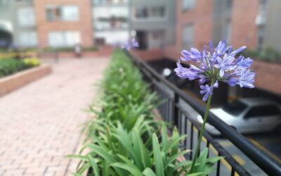 Publicación acta asamblea extraordinaria 2025