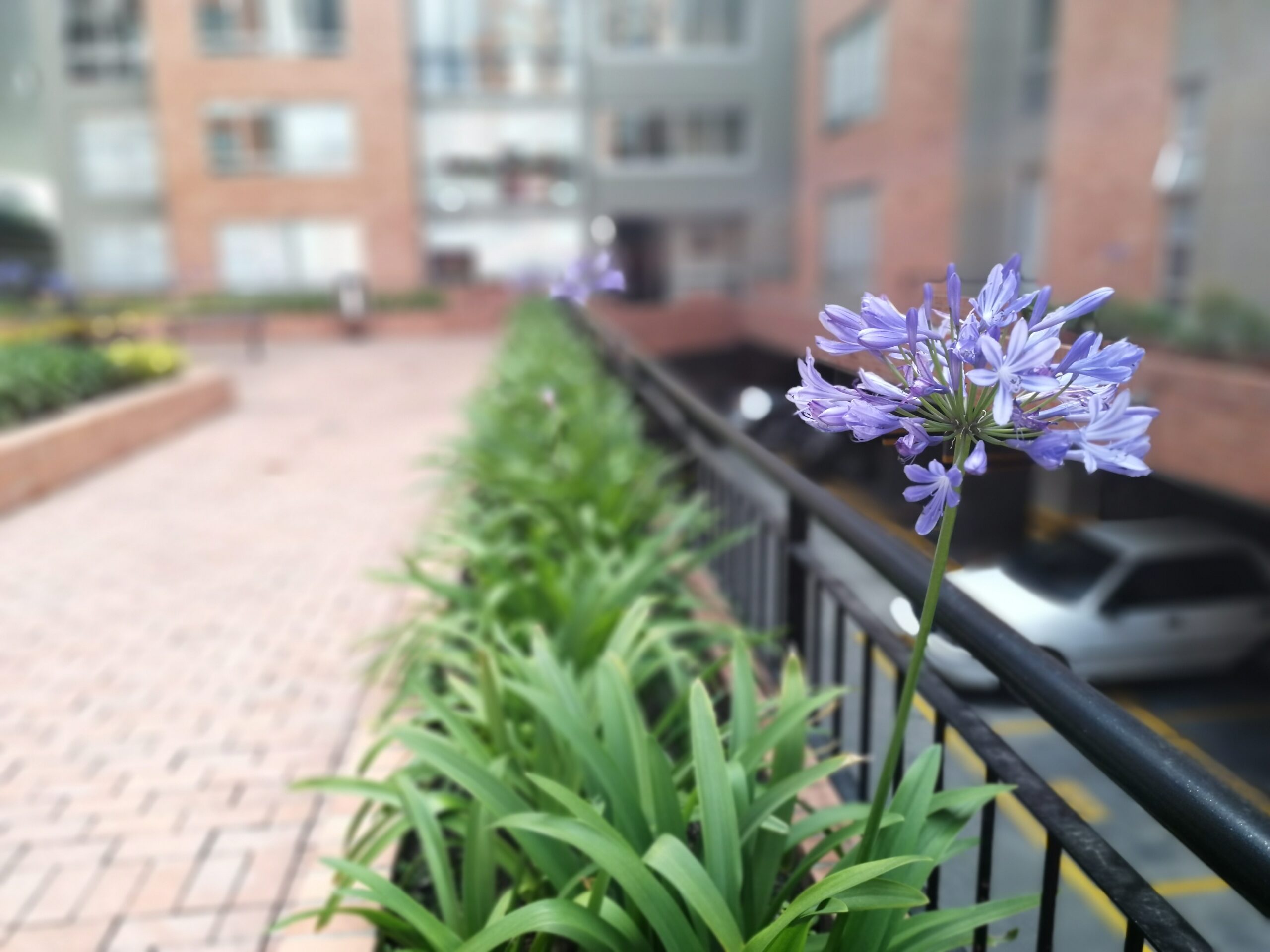 Conjunto Residencial La Sabana